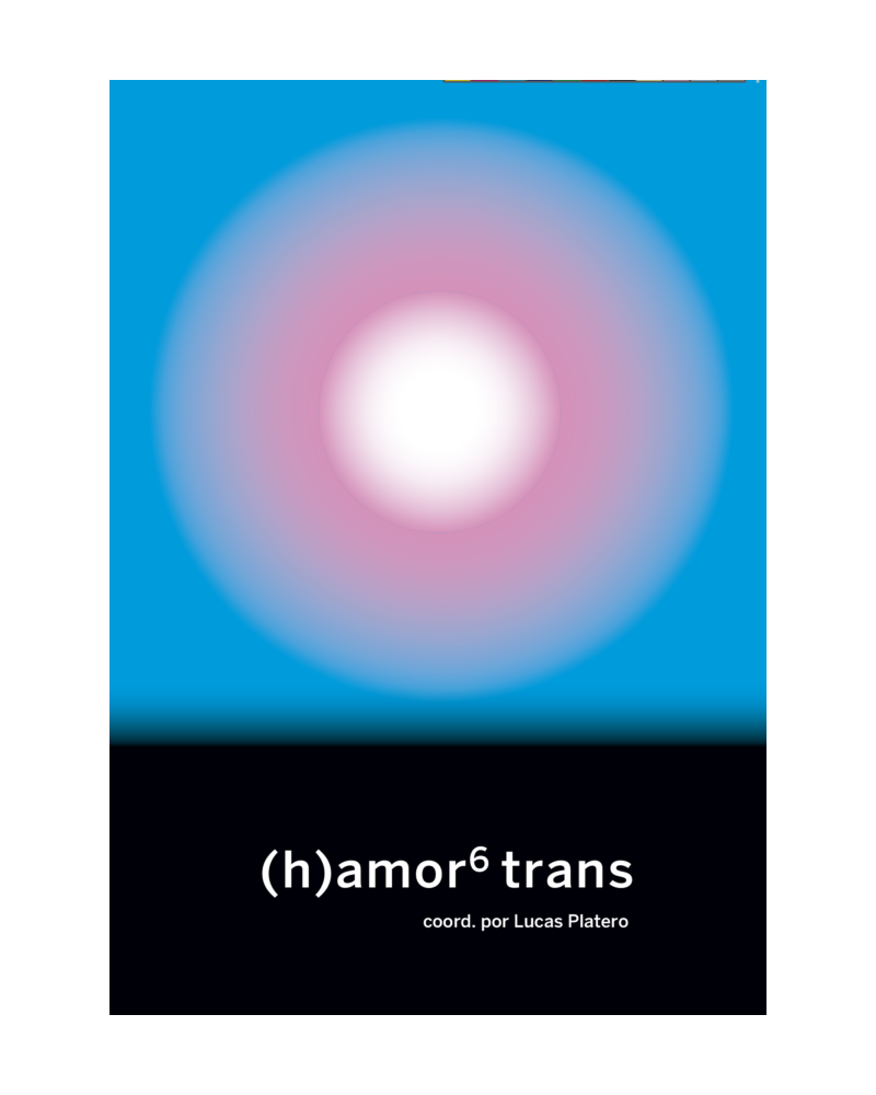 (h)amor 6 trans Un conjunto diverso de reflexiones con una misma reivindicación, la de una vida plena.