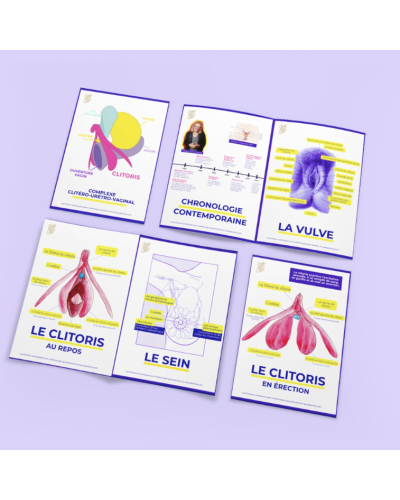 Fichas educativas - Anatomía del clítoris, vulva y mamas de Gang du clito