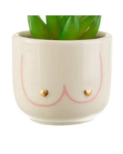 Sass & Belle Girl Power - Maceta mini tetas
