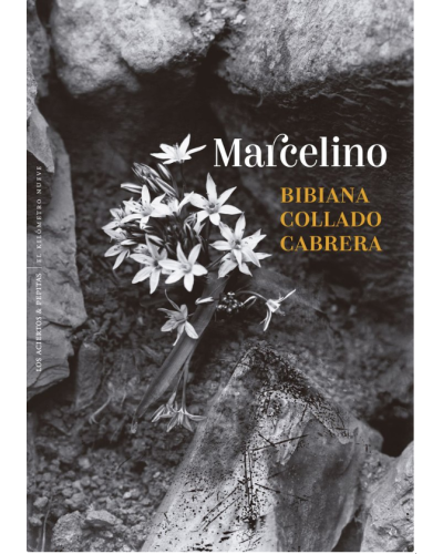 Marcelino - Bibiana Collado Cabrera