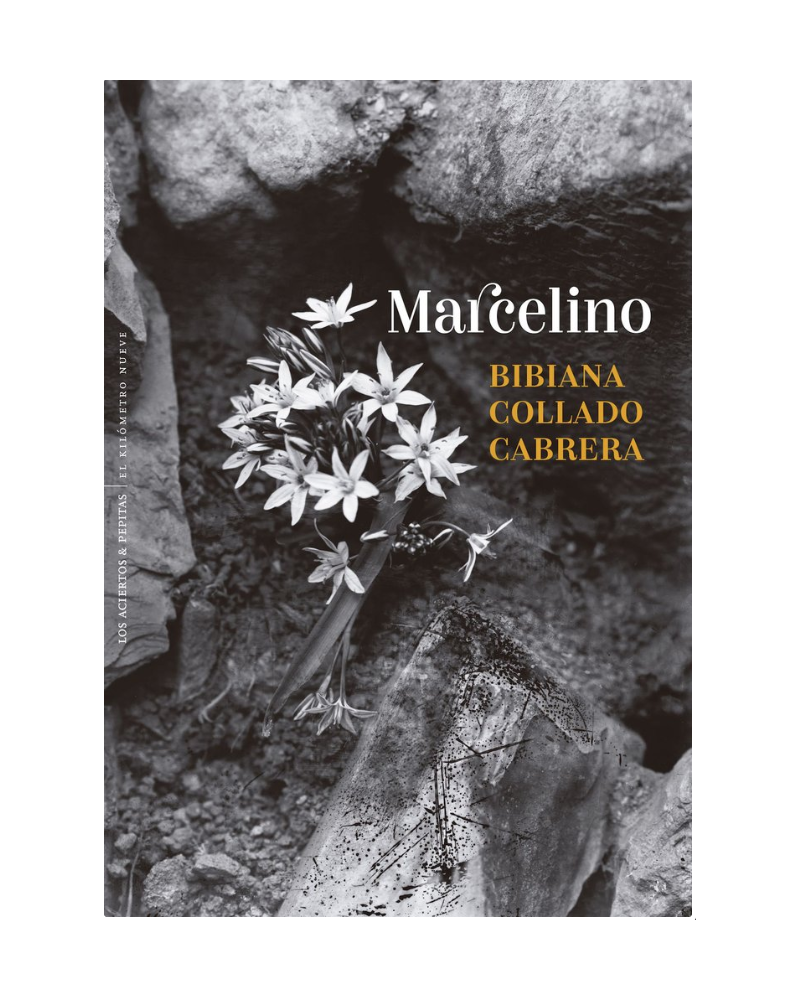 Marcelino - Bibiana Collado Cabrera