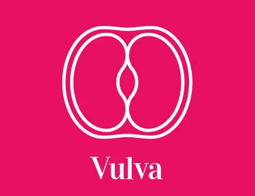 Juguetes para vulva